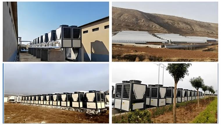 践行绿色养殖，畜牧养殖热泵助力打造零碳养殖环境