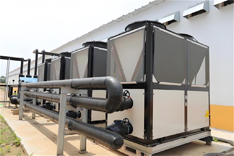 践行绿色养殖，畜牧养殖热泵助力打造零碳养殖环境