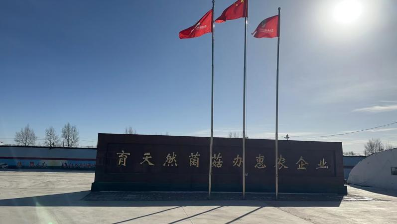 纽恩泰空气能赋能农业现代化:大棚蘑菇万平采暖项目大获成功