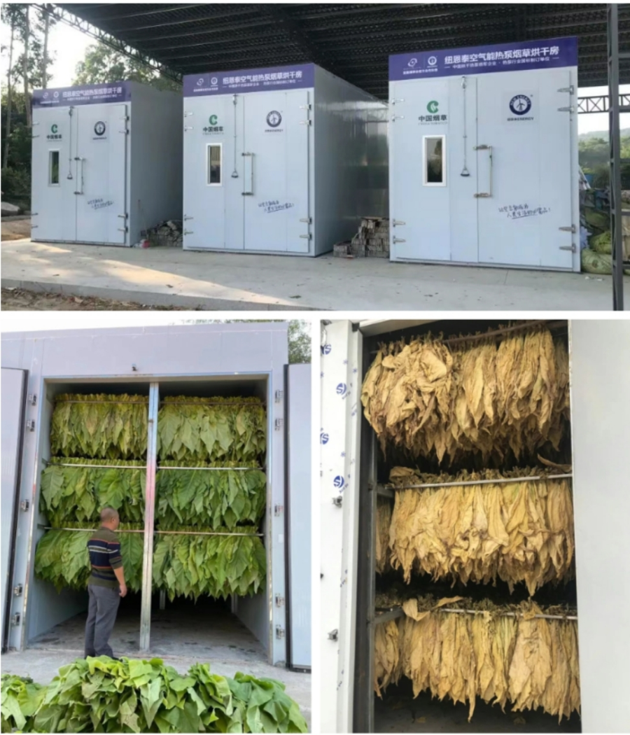 技术迭代:纽恩泰柔性涡轮技术破解核桃烘干控温难题